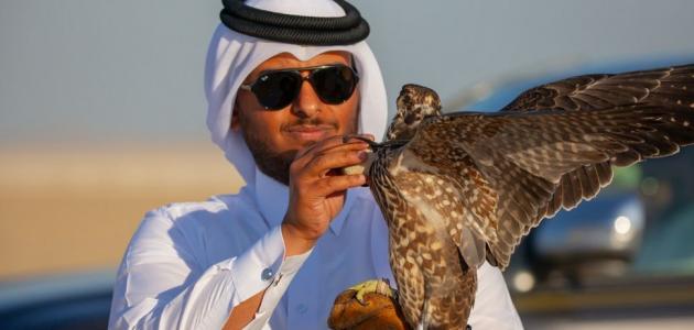 الصيد في قطر الصيد في قطر