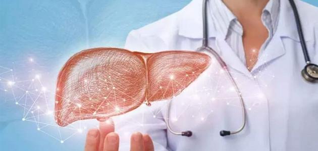 الفرق بين تليف الكبد وتشمع الكبد