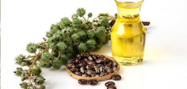 فوائد زيت الخروع للبشرة
