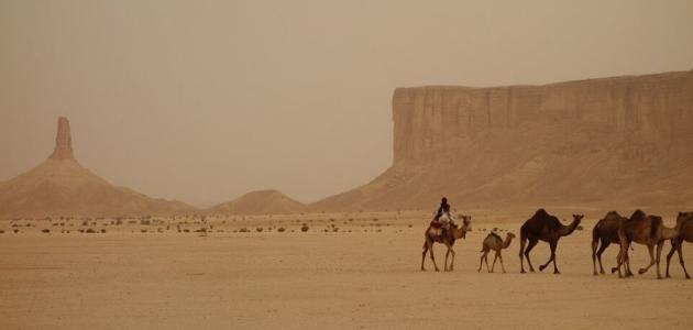 أول من هاجر من المسلمين إلى الحبشة