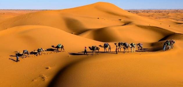 أول من هاجر إلى الحبشة
