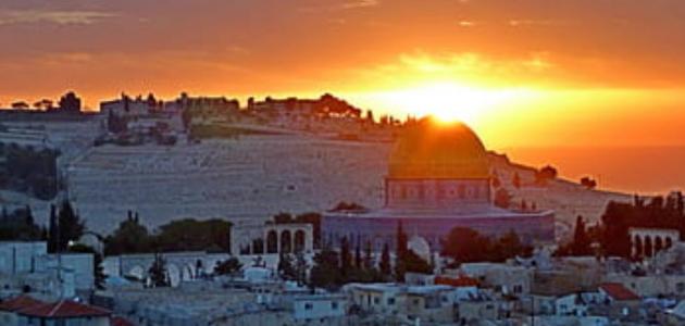 أهمية موقع فلسطين