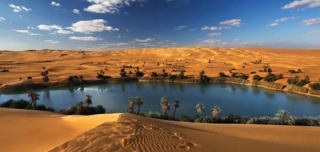 أين تقع واحة سيوة