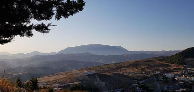 عدد سكان ولاية سطيف
