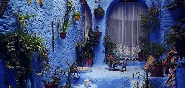 بحث حول مدينة شفشاون