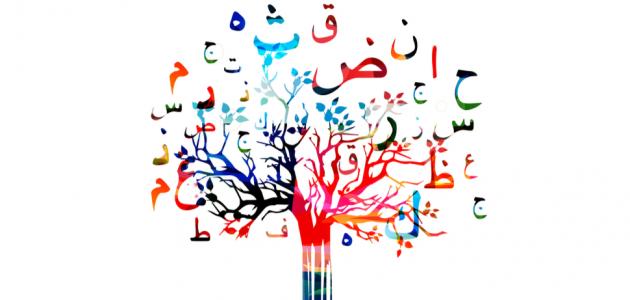 اعراب ما بعد حتى