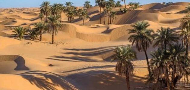 أين تقع ولاية بسكرة