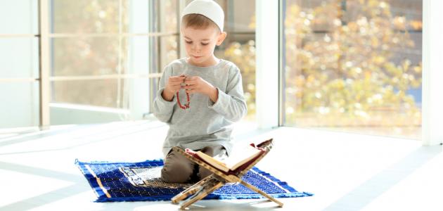 معنى إسم بكر معنى إسم بكر