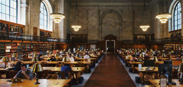 ما هي افضل التخصصات الجامعية