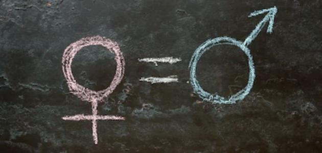 مظاهر المساواة بين الرجل والمرأة