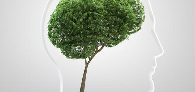 طرق تنشيط الذاكرة