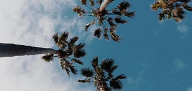 كيف يمكنك قضاء إجازة مريحة بعيدًا عن ضغوط العمل؟