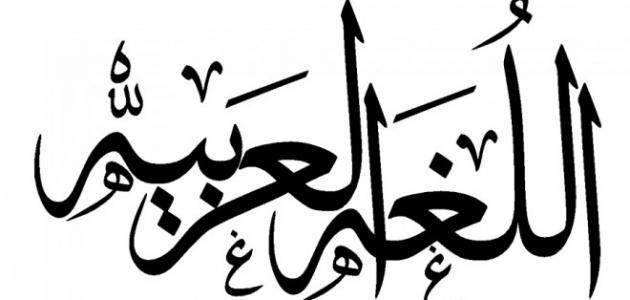 كيف أتعلم اللغة العربية بسهولة