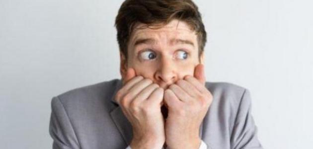 كيف تتغلب على خوفك من الحيوانات؟