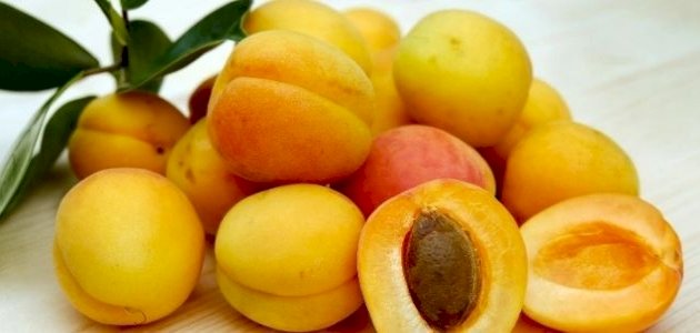 فوائد المشمش المثبتة علميا