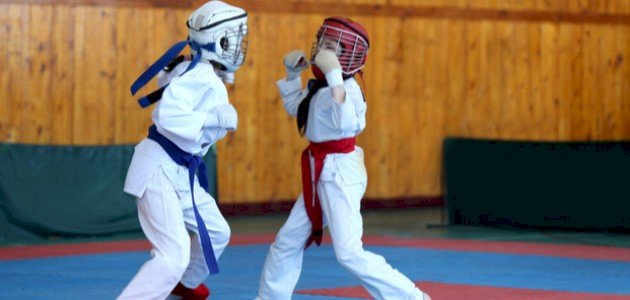 كل ما تود معرفته حول الجوجوتسو.. المصارعة البرازيلية