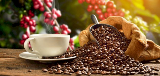 ما فوائد شرب القهوة قبل التمرين؟