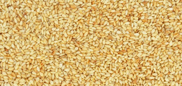 كل ما تود معرفته حول فوائد بذور السمسم للصحة