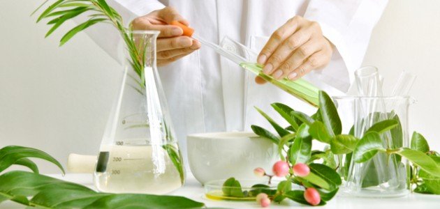 تعرف على علم النبات وأهميته