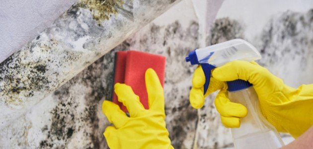 تعرف على طرق التخلص من عفن الجدران