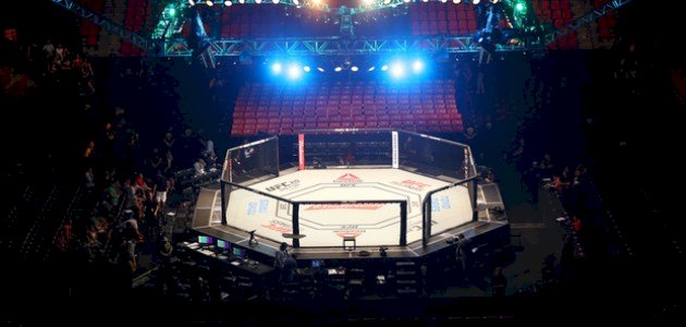 فنون القتال المختلطة UFC: ما هي؟ وما أساسياتها؟