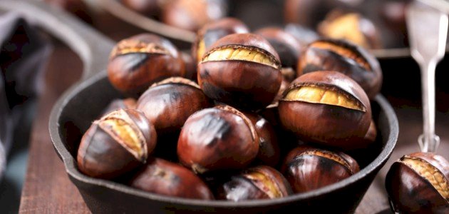 كل ما تود معرفته حول فوائد الكستناء الصحية