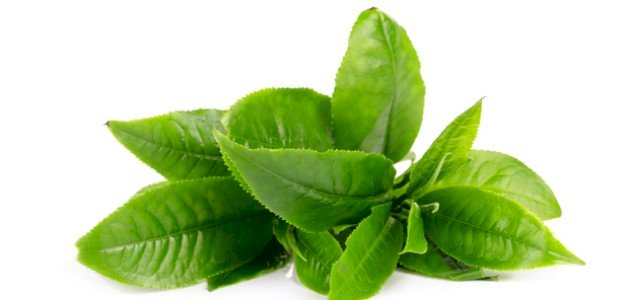 كل ما تود معرفته حول فوائد الشاي للشعر