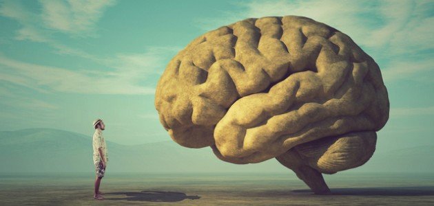 ماذا تعرف عن تمارين تنشيط الدورة الدموية للمخ؟