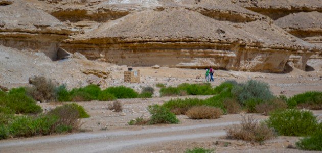 كل ما تود معرفته حول محمية وادي دجلة
