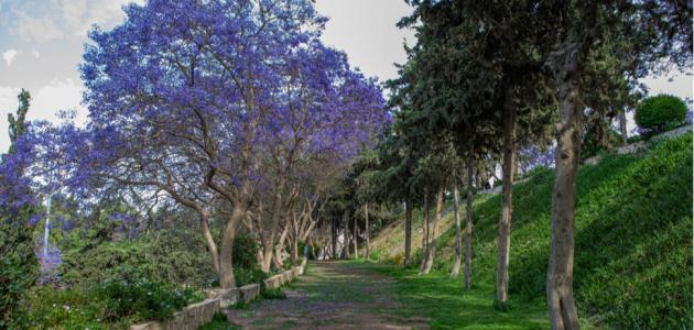 كل ما تود معرفته حول حديقة أبو خيال