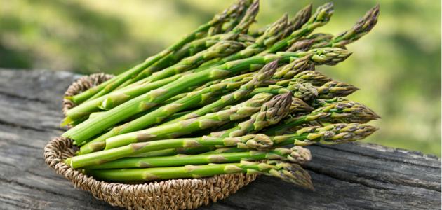 كل ما يهمك حول نبات الهليون وفوائده المختلفة