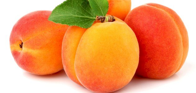 كل ما تود معرفته حول فوائد بذور المشمش لصحتك
