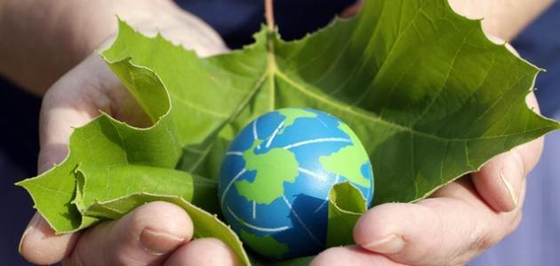 الفرق بين العالمية والعولمة