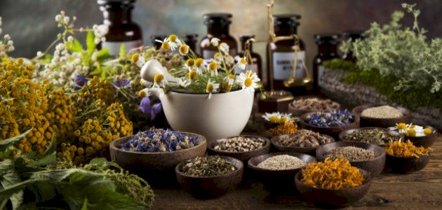 أعشاب تساعد على التئام العظام