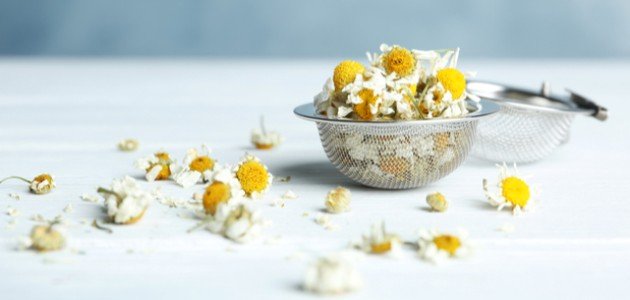 دليلك الشامل لعلاج الجيوب الأنفية بالبابونج