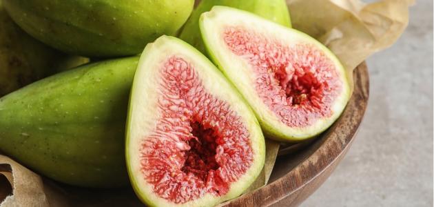 تعرف على أهم متطلبات تأسيس مشروع زراعة التين البرشومي