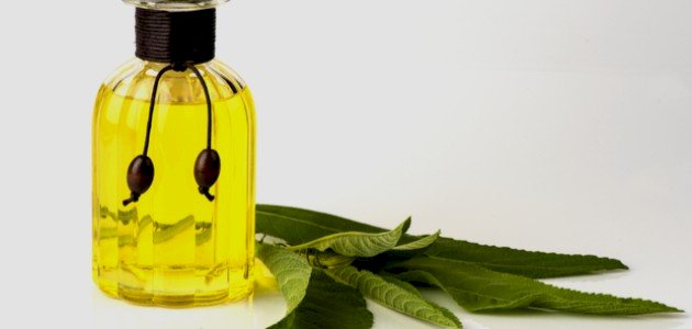 فوائد الكافور: هل يزيد من رغبتك الجنسية أم يقللها؟