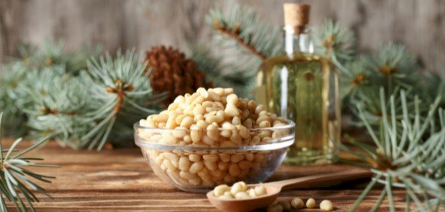 كل ما تود معرفته حول فوائد الصنوبر للرجل
