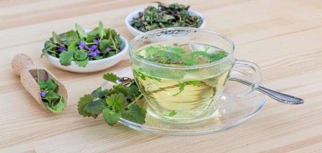 علاج أبو صفار بالأعشاب
