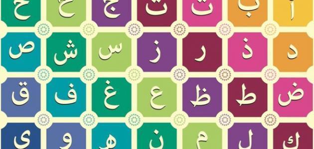 كم عدد قواعد اللغة الانجليزية