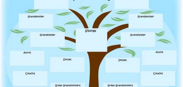 كيف ترسم شجرة العائلة؟