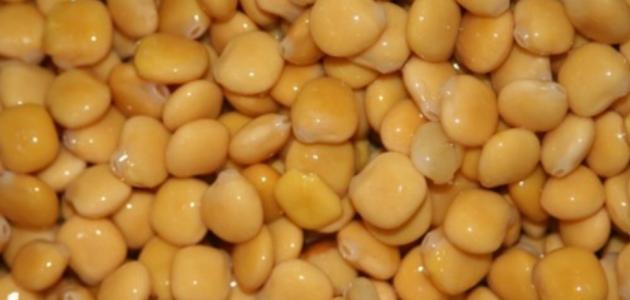 فوائد الترمس للجنس