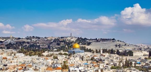 كم عدد الفلسطينيين في العالم