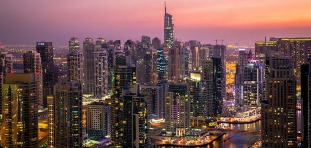 كم عدد الإمارات العربية المتحدة