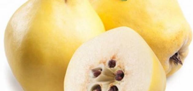 فوائد السفرجل للشعر
