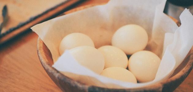 فوائد البيض لكمال الاجسام