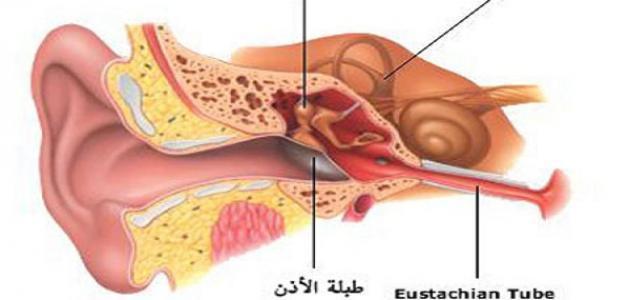 ماذا تسمى قناة استاكيوس