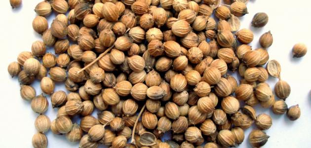 فوائد الكزبرة للشعر