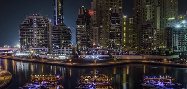 مدينة دبي الملاحية