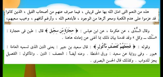 لماذا سمي بعام الفيل